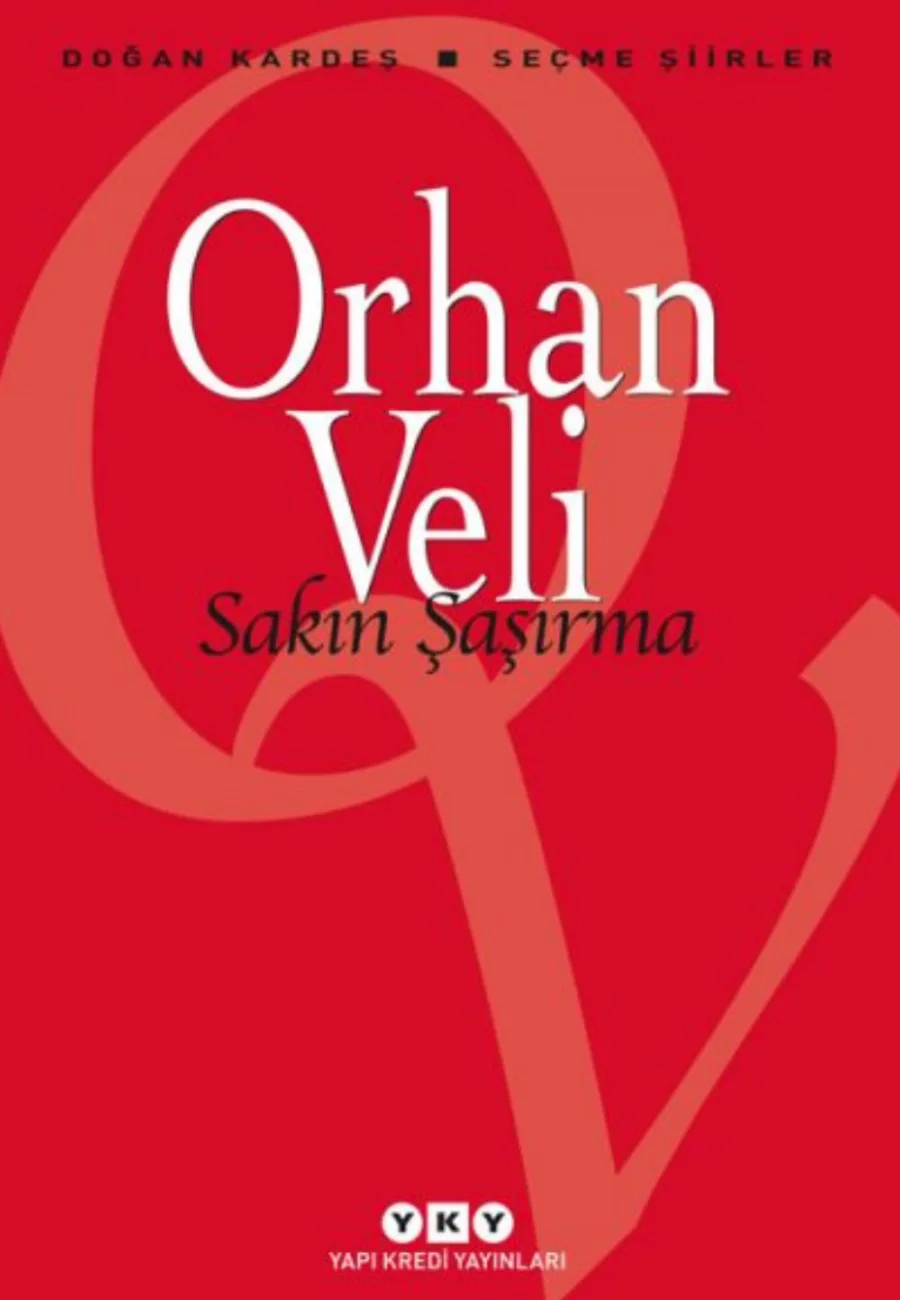 Sakın Şaşırma PDF kapak görseli