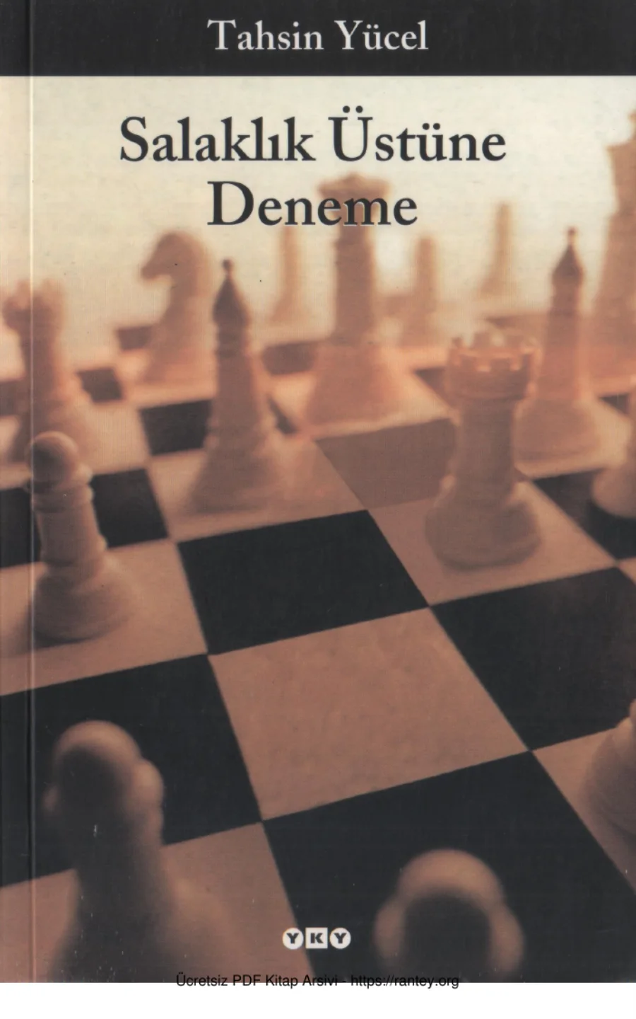 Salaklık Üstüne Deneme kapak görseli