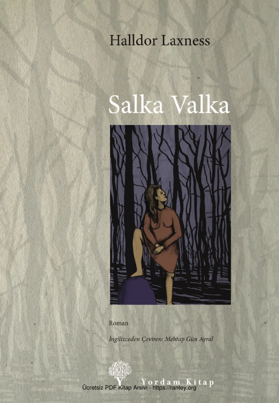 Salka Valka kapak görseli