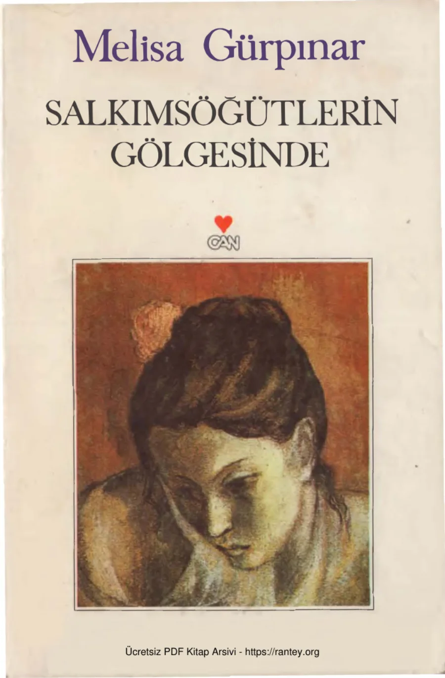 Salkımsöğütlerin Gölgesinde kapak görseli