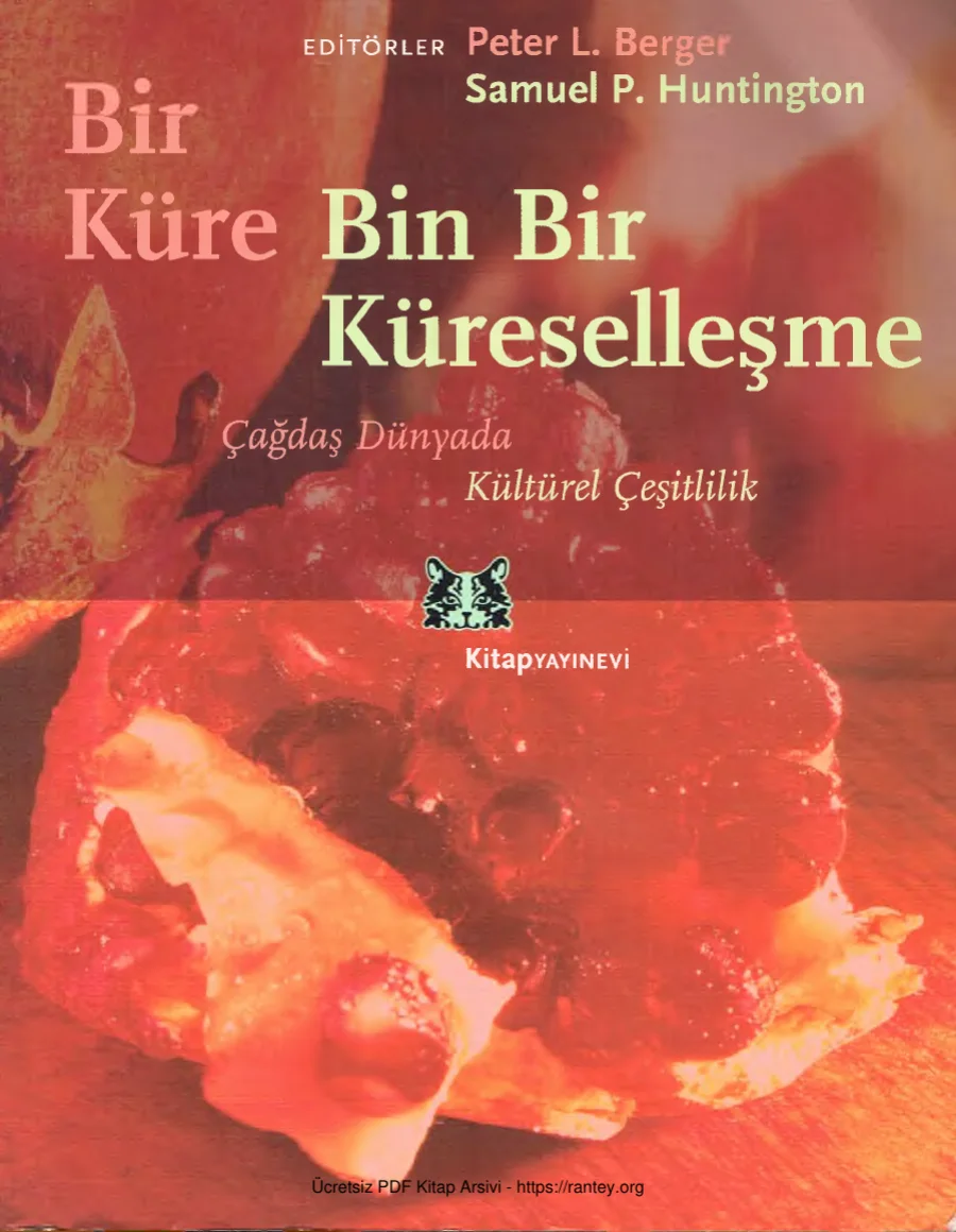 Samuel P Huntington Bir Küre Binbir Küreselleşme Kitap Yayınevi kapak görseli