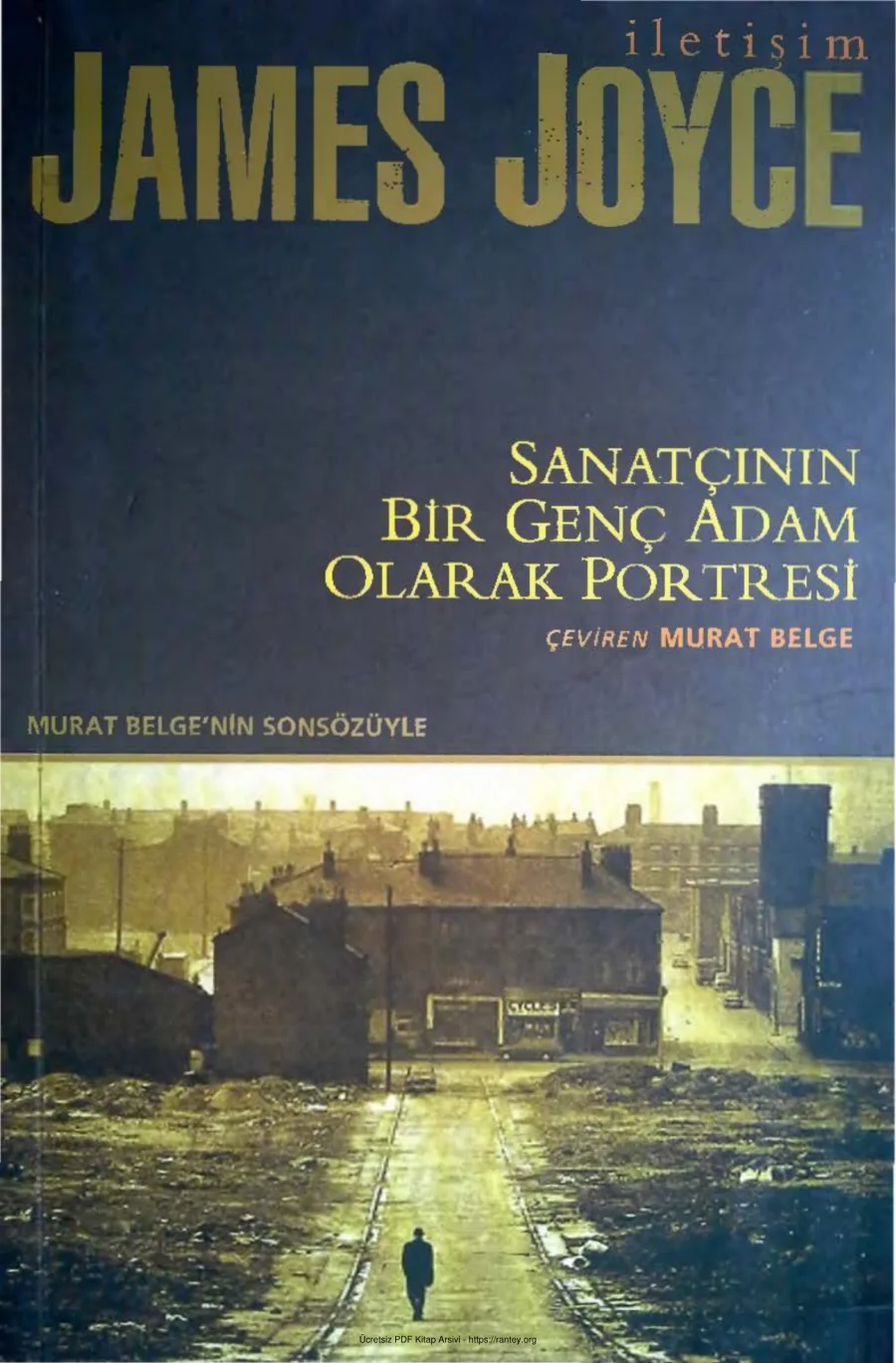 Sanatçının Bir Genç Adam Olarak Portresi kapak görseli