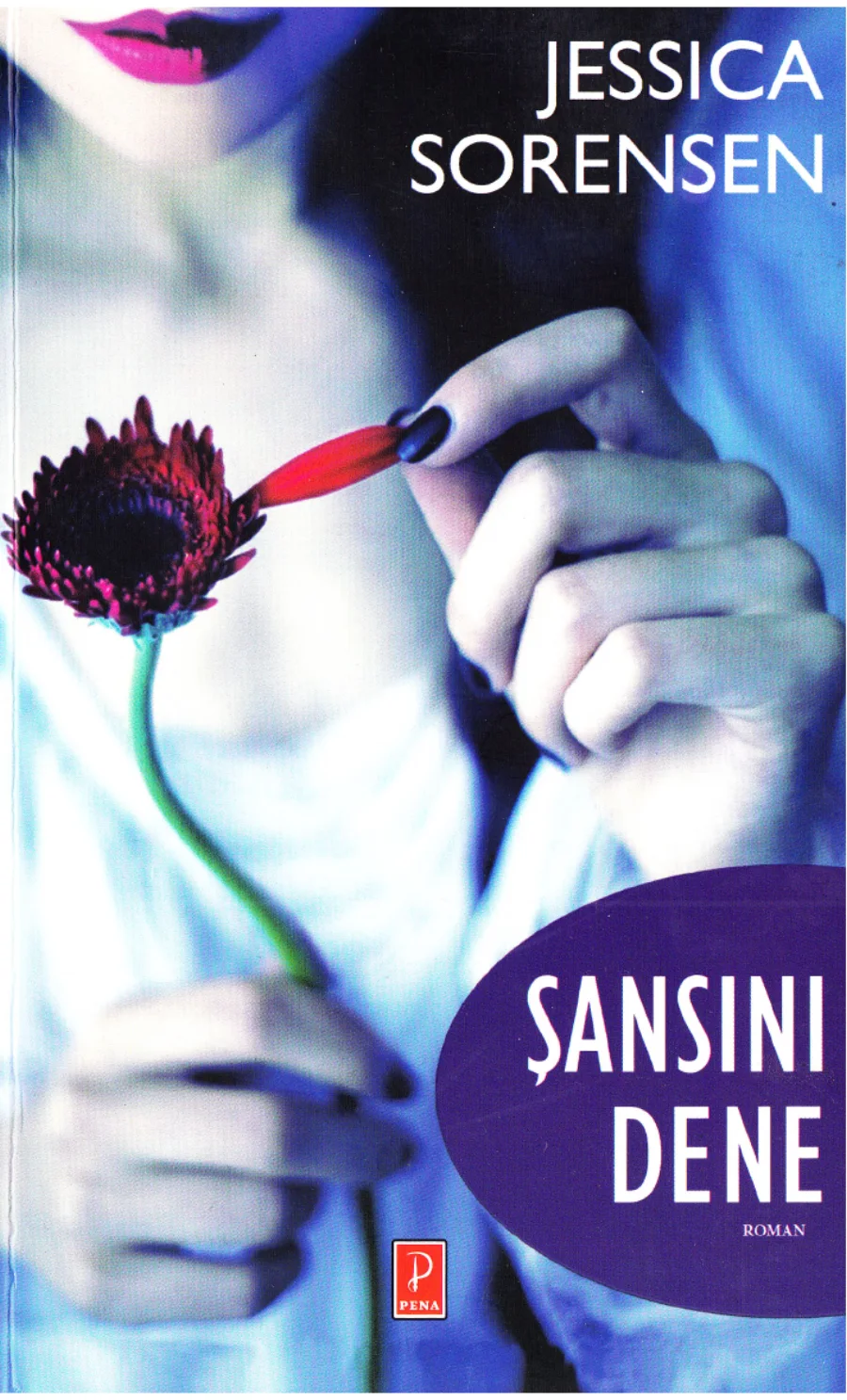 Şansını Dene kapak görseli