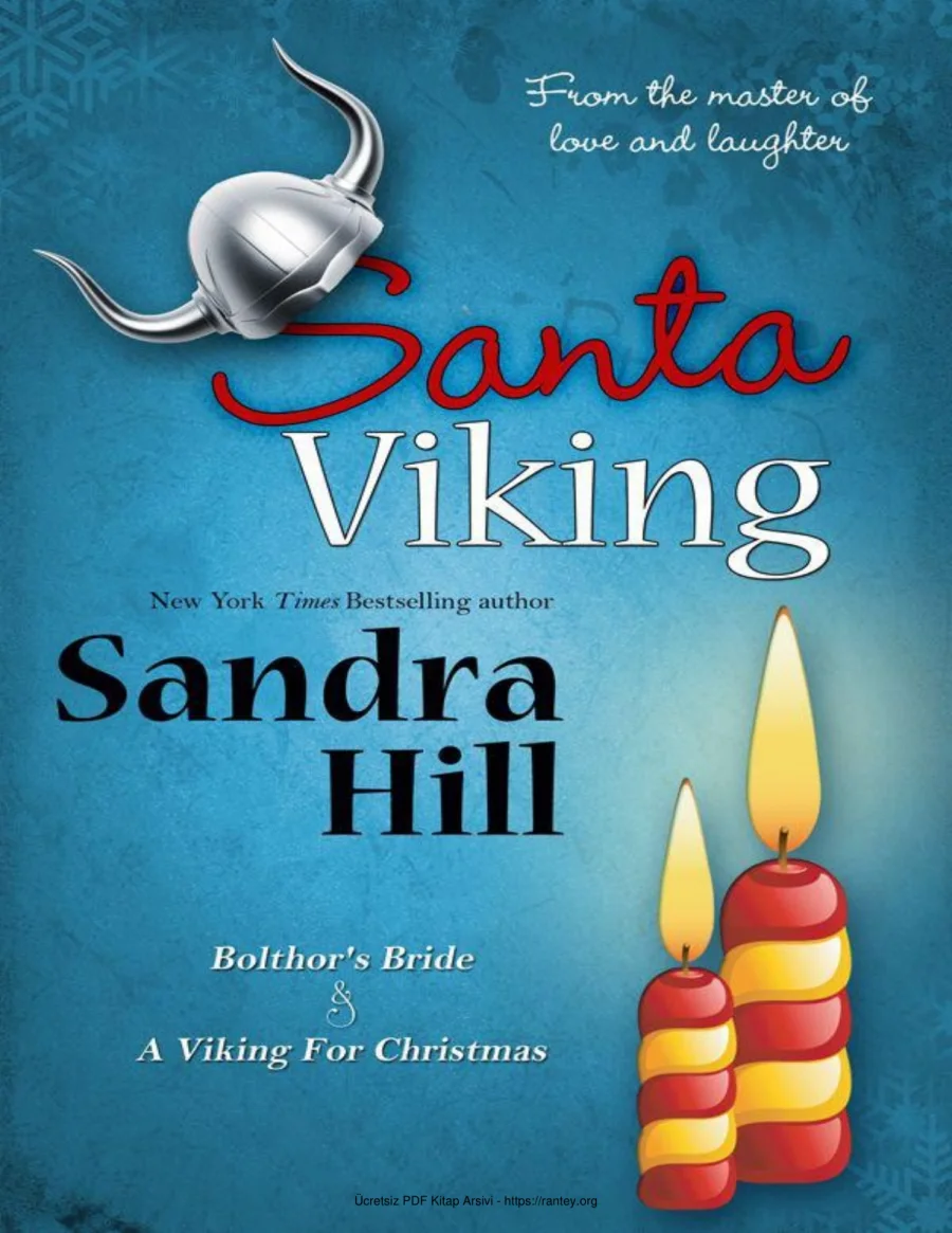 Santa Viking kapak görseli