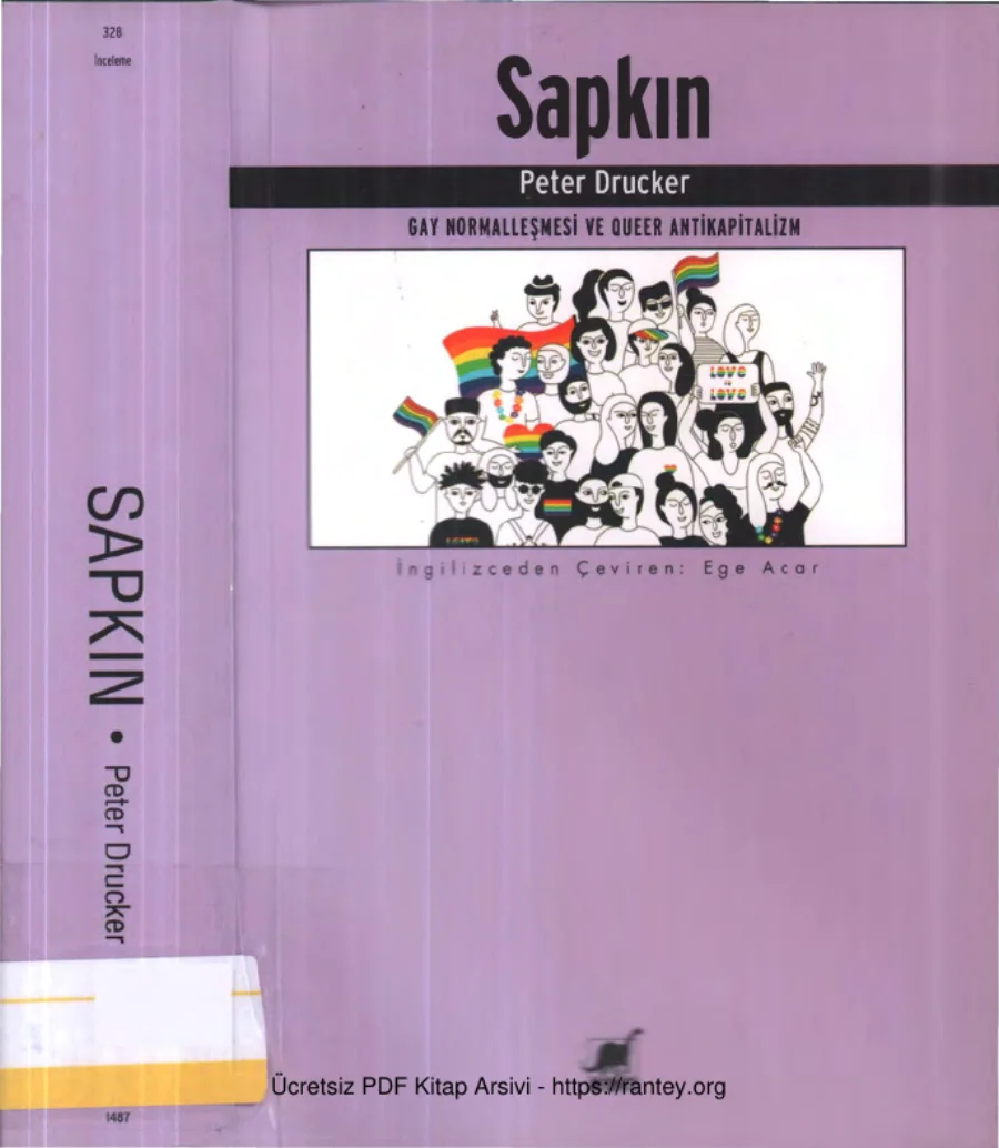 Sapkın kapak görseli