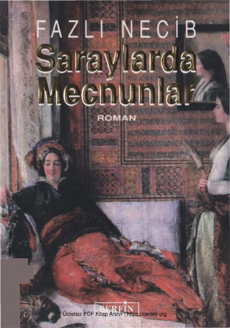 Saraylarda Mecnunlar kapak görseli