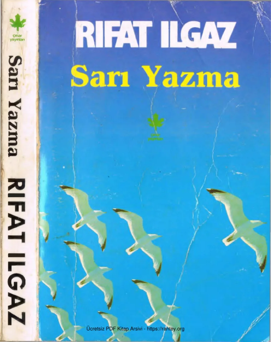 Sarı Yazma kapak görseli