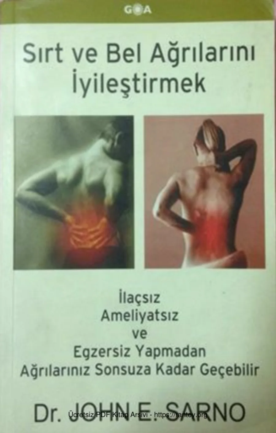 Sarno Sırt ve Bel Ağrılarını İyileştirmek kapak görseli
