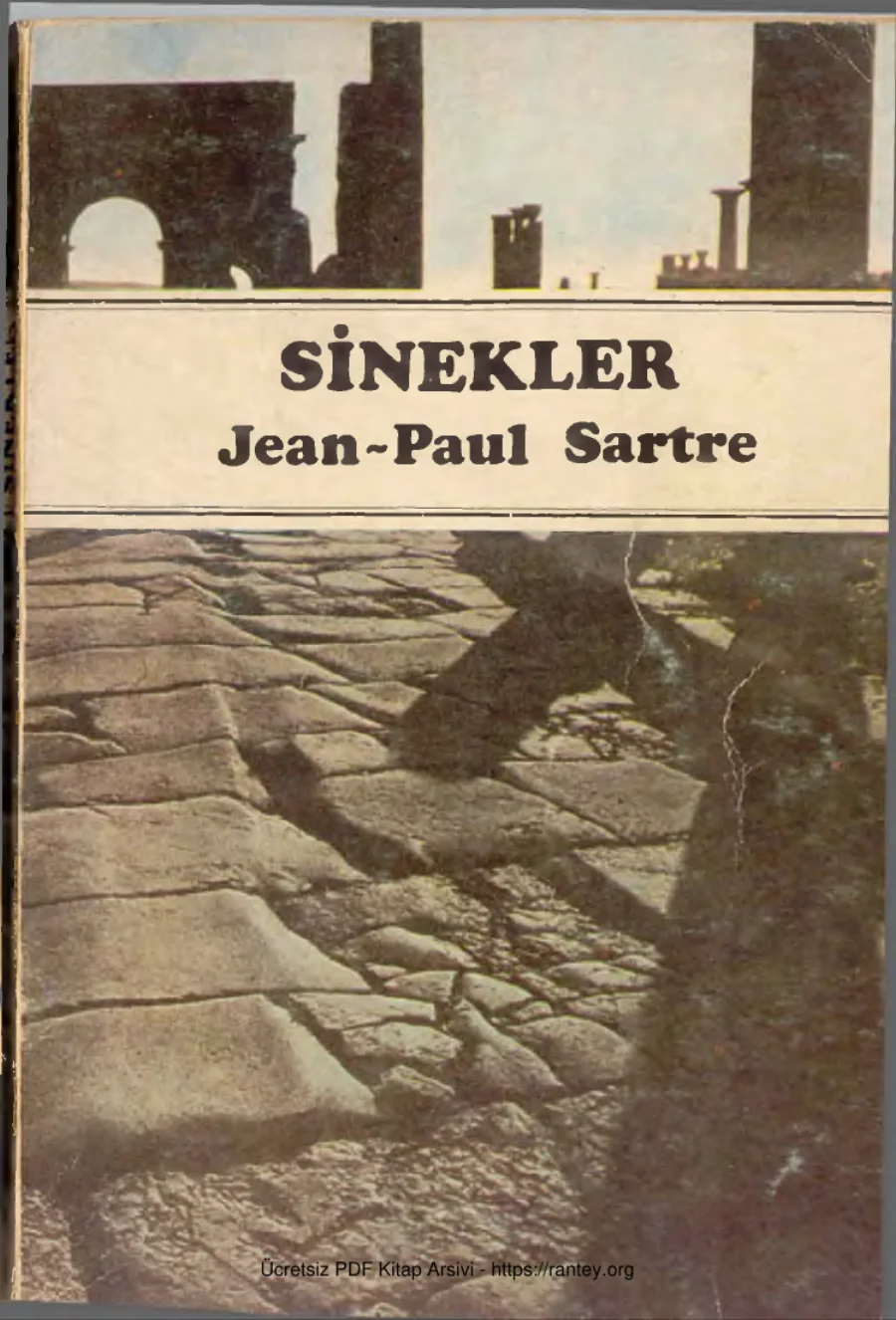 Sartre Sinekler kapak görseli