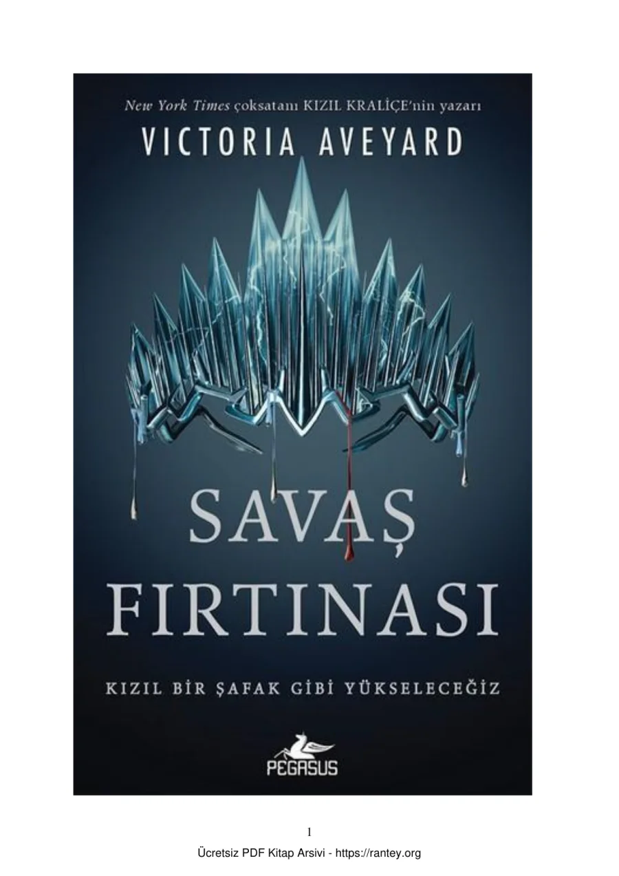 Savaş Fırtınası kapak görseli