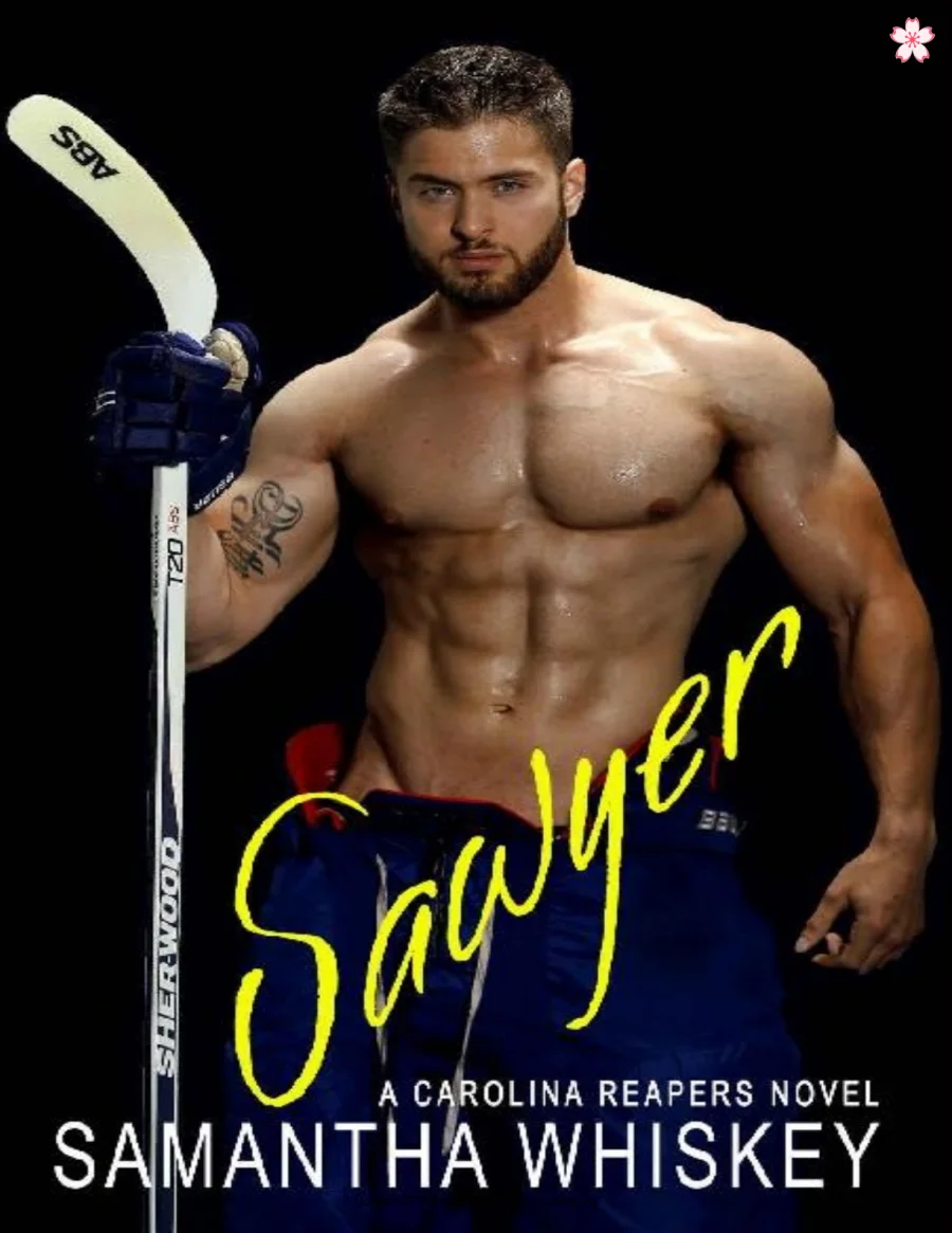 Sawyer kapak görseli