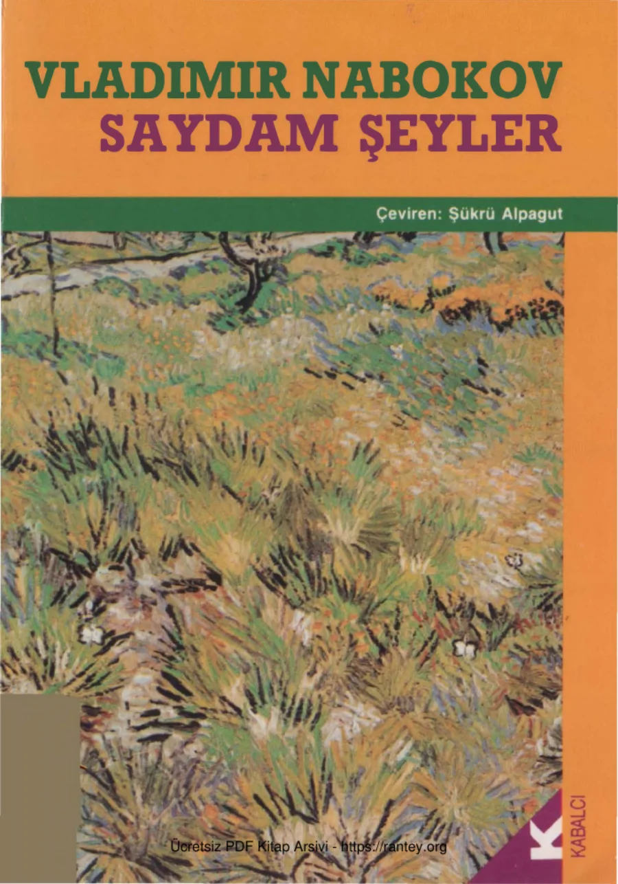 Saydam Şeyler kapak görseli