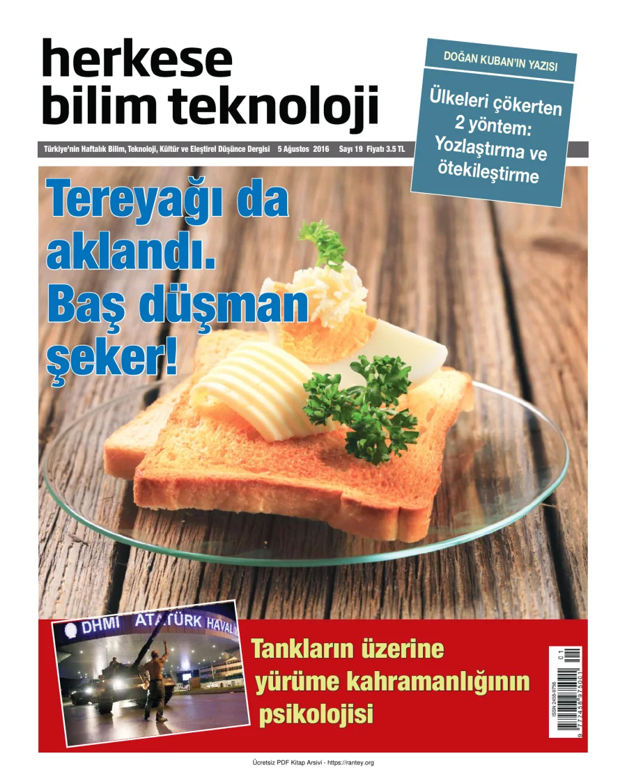 Sayı 019 kapak görseli