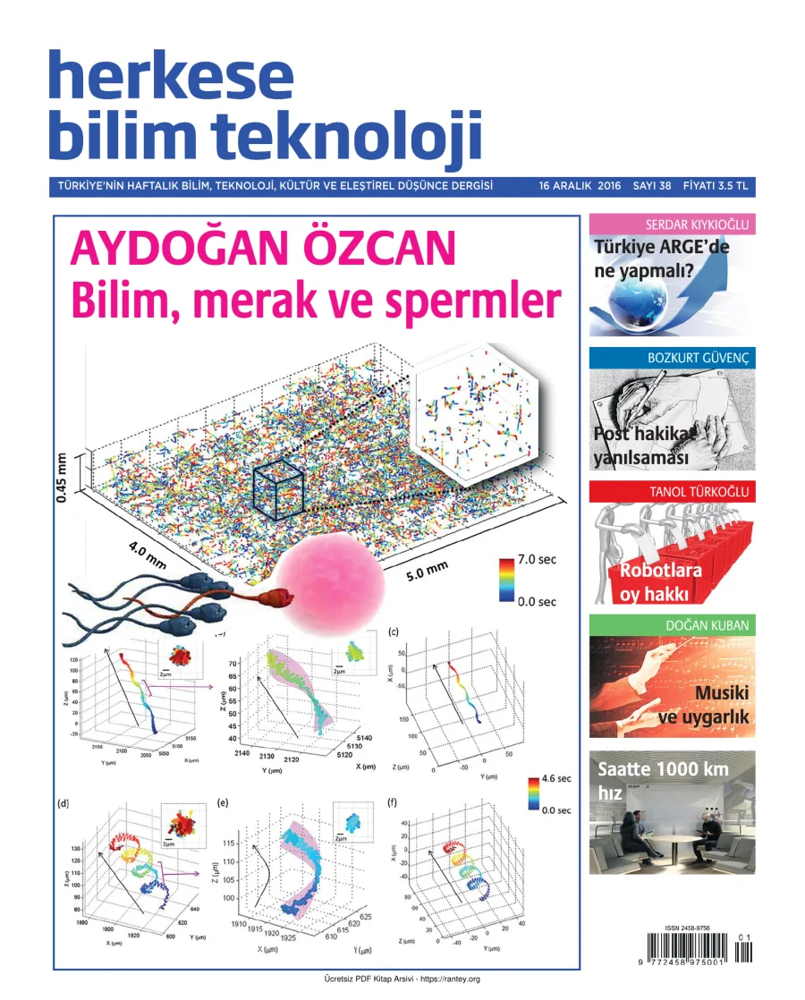 Sayı 038 kapak görseli