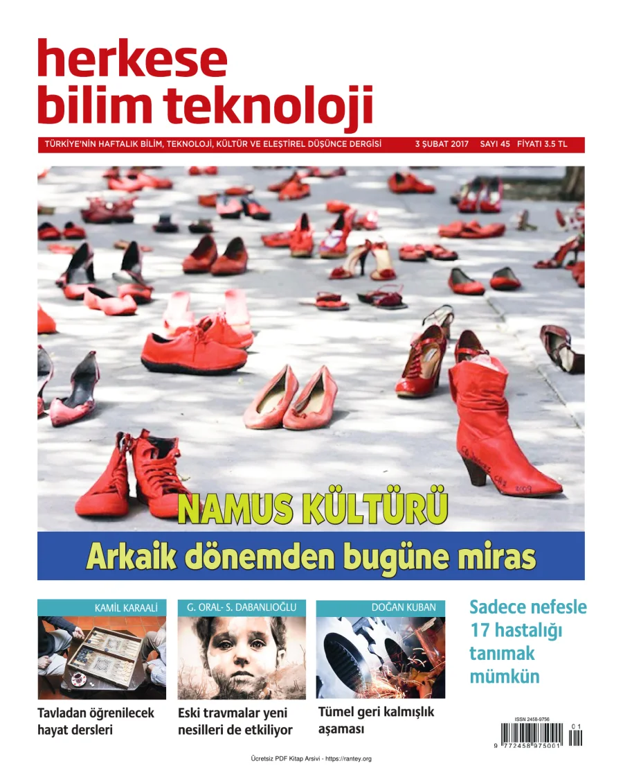 Sayı 045 kapak görseli