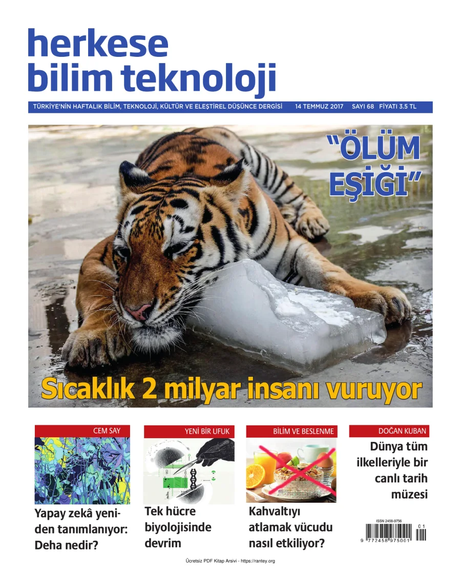 Sayı 068 kapak görseli