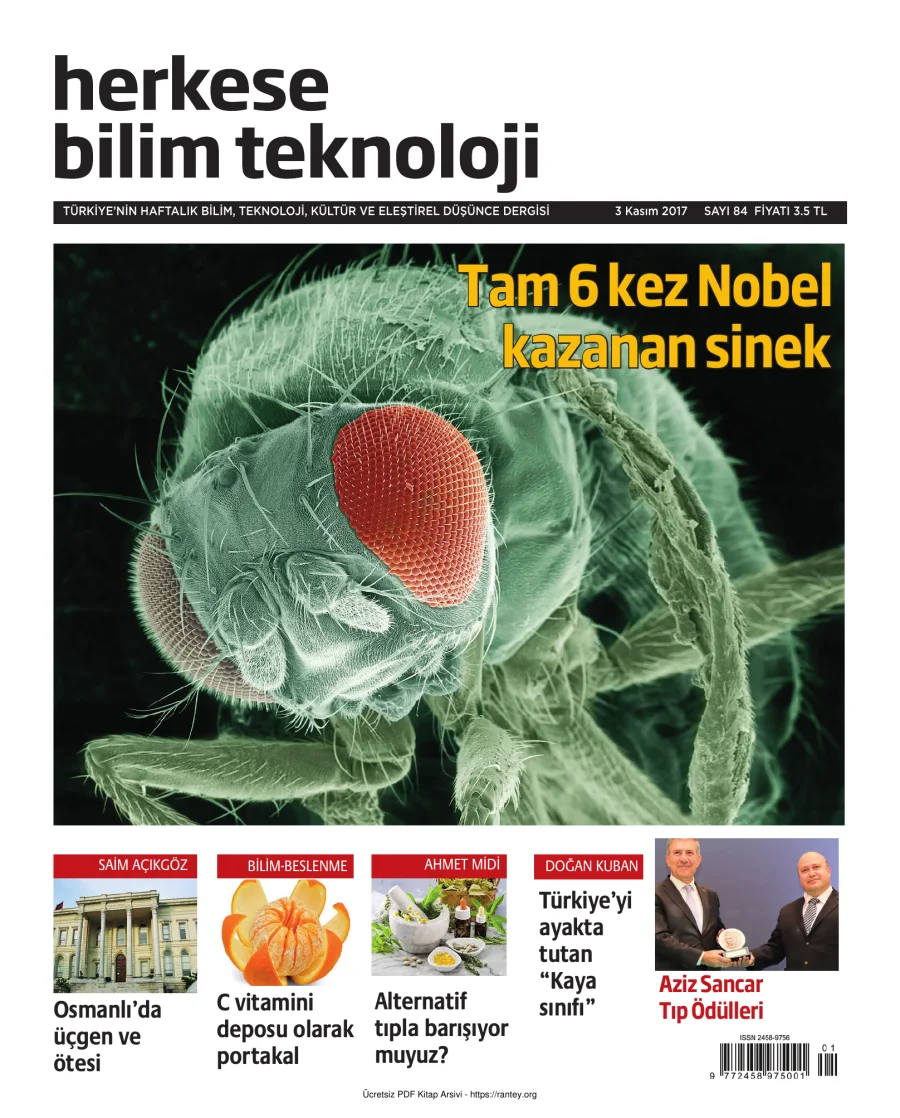 Sayı 084 kapak görseli