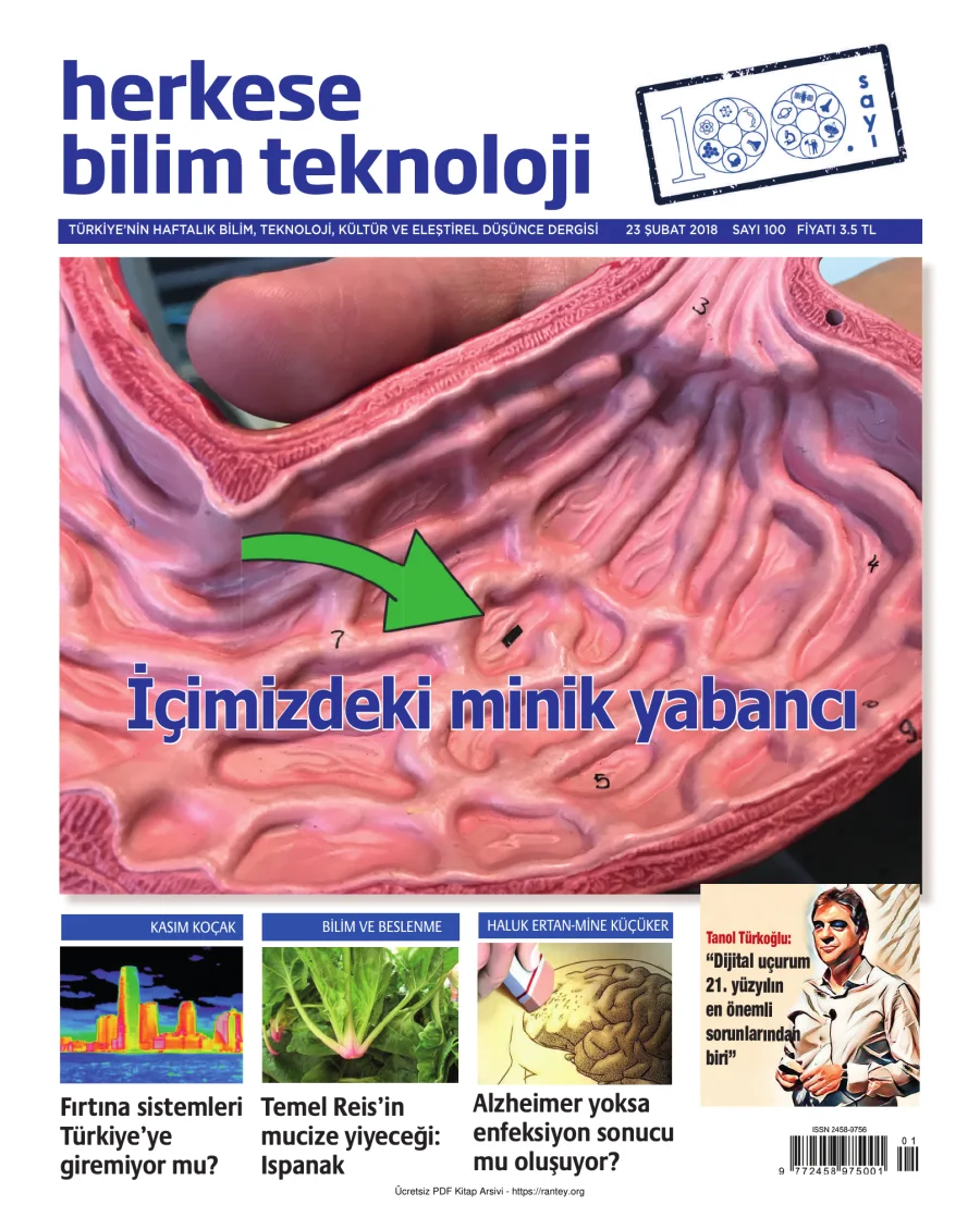 Sayı 100 kapak görseli