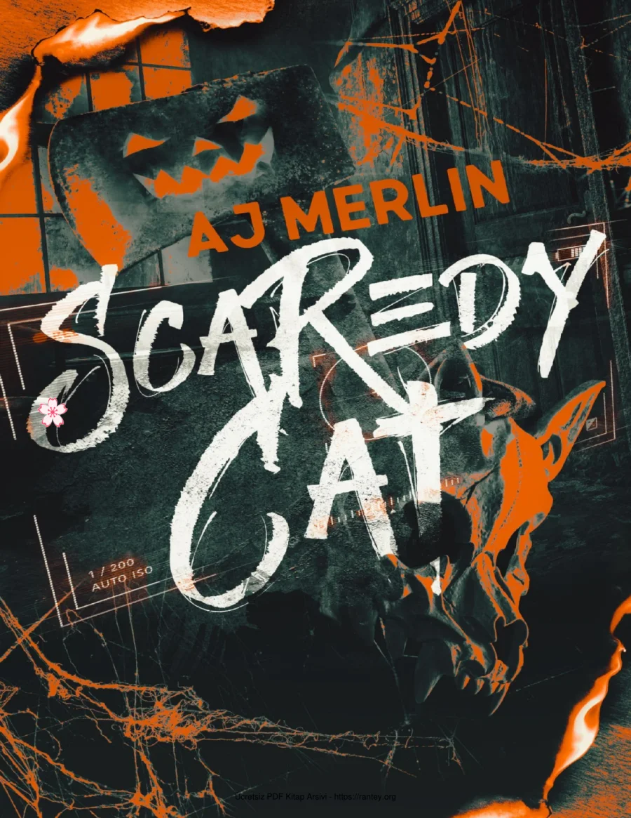 Scaredy Cat kapak görseli