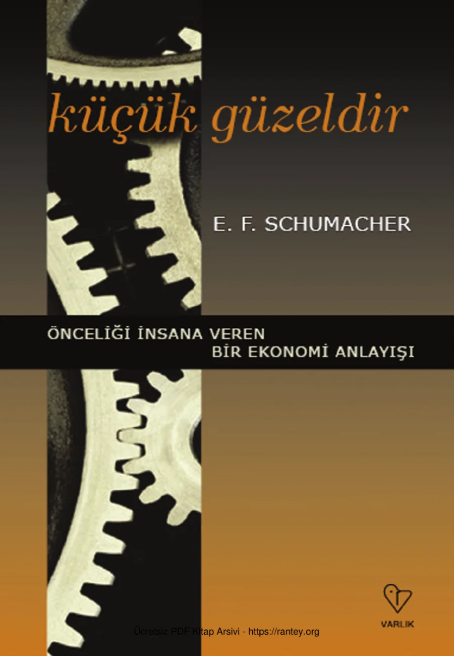 Schumacher Küçük Güzeldir kapak görseli
