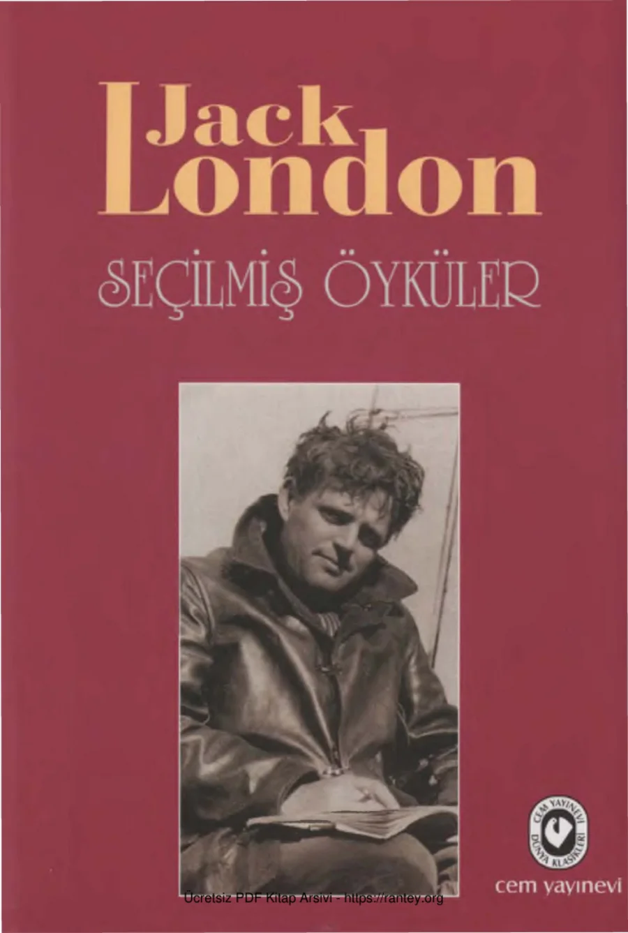 Seçilmiş Öykuler kapak görseli