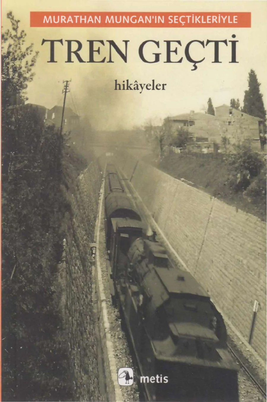Seçtikleriyle Tren Geçti kapak görseli