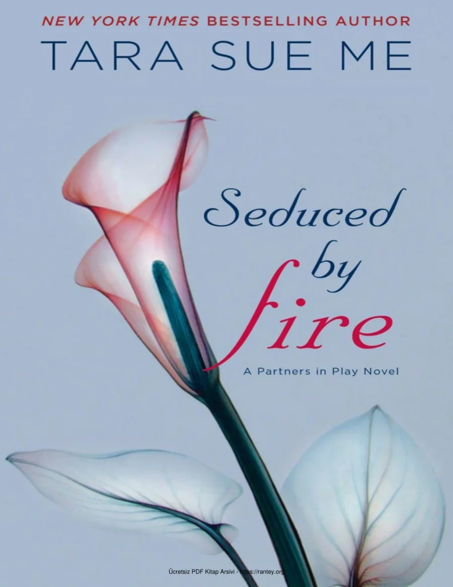 Seduced By Fire kapak görseli