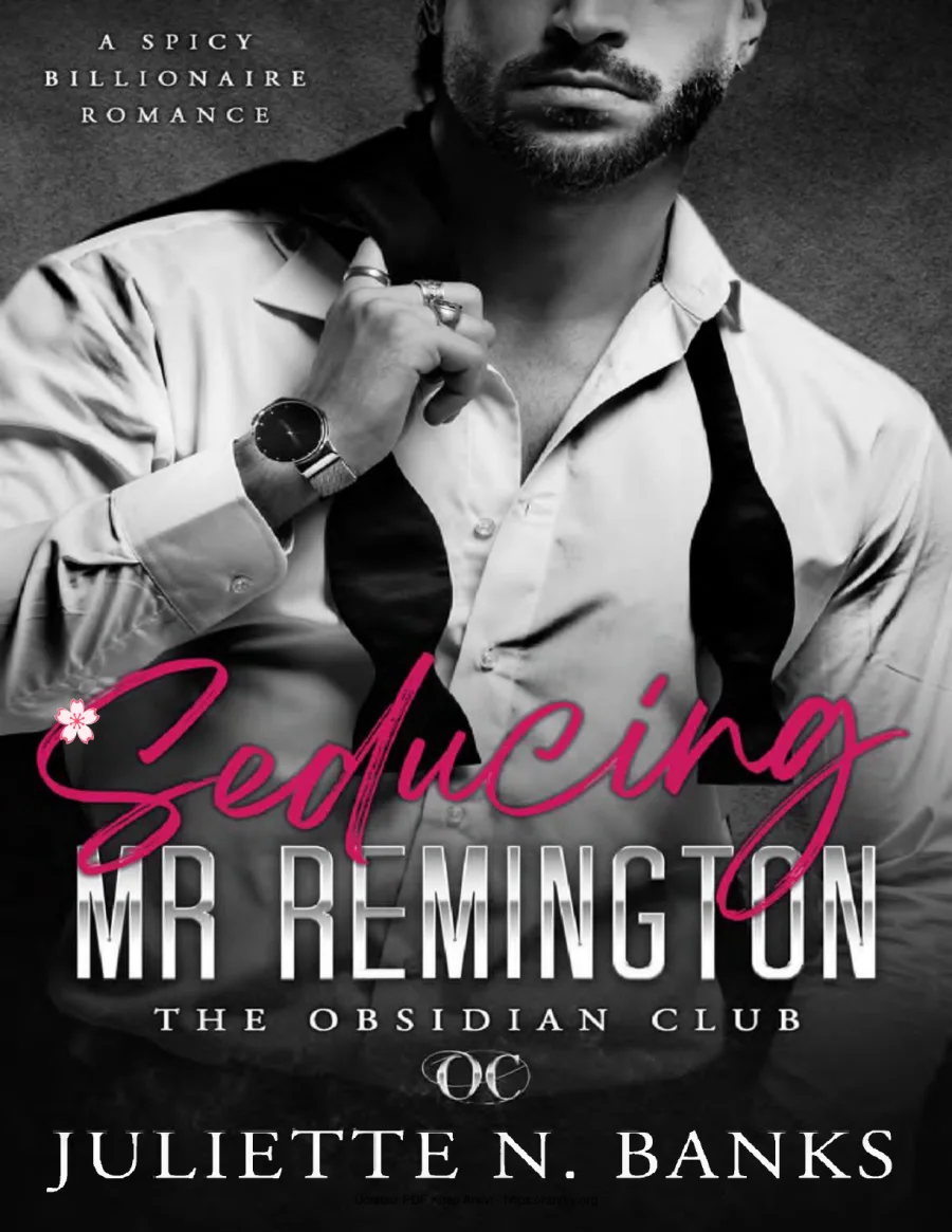 Seducing Mr Remington kapak görseli