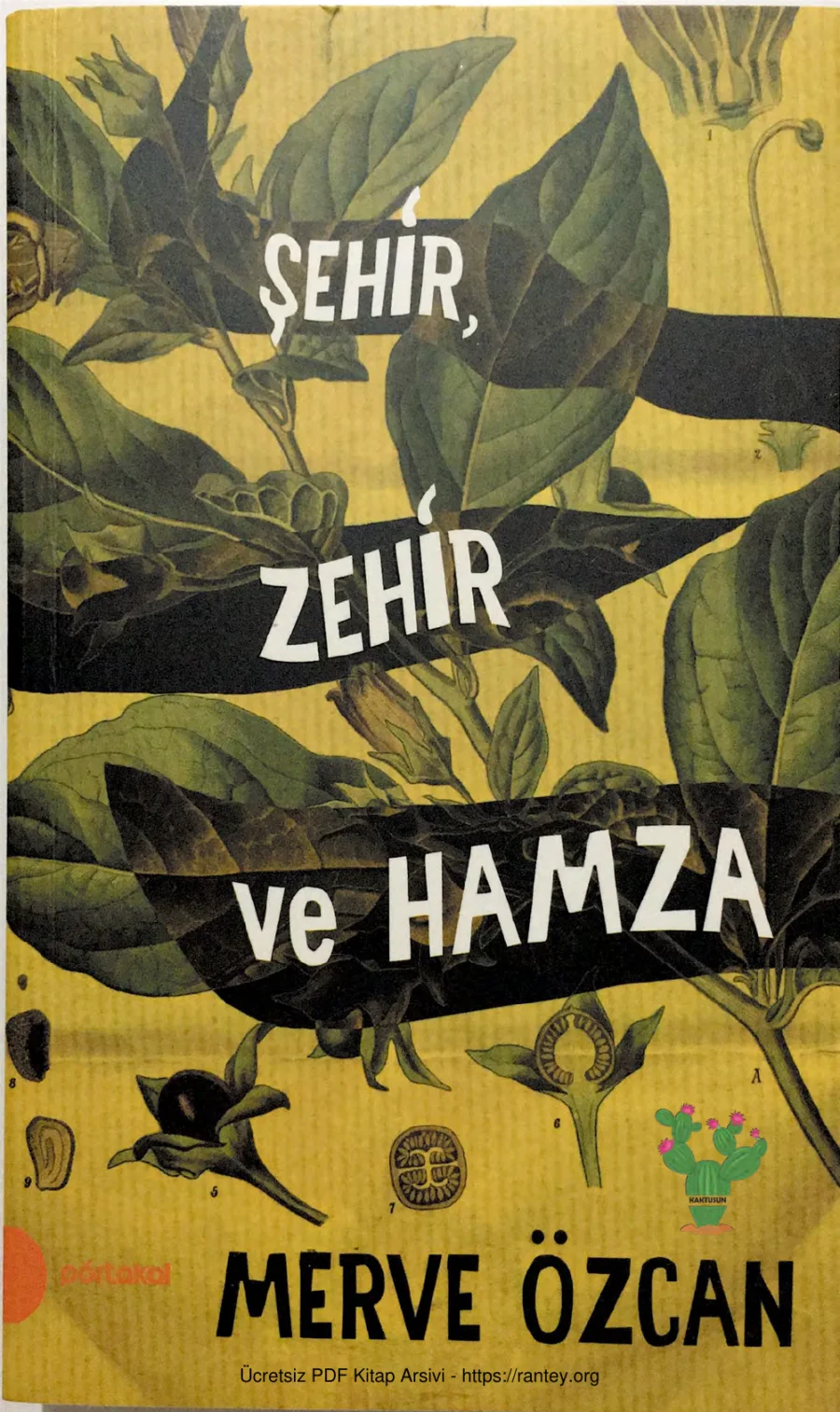 Sehir Zehir ve Hamza kapak görseli