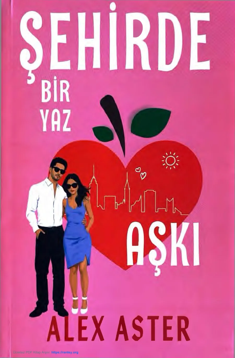 Şehirde Bir Yaz Aşkı kapak görseli