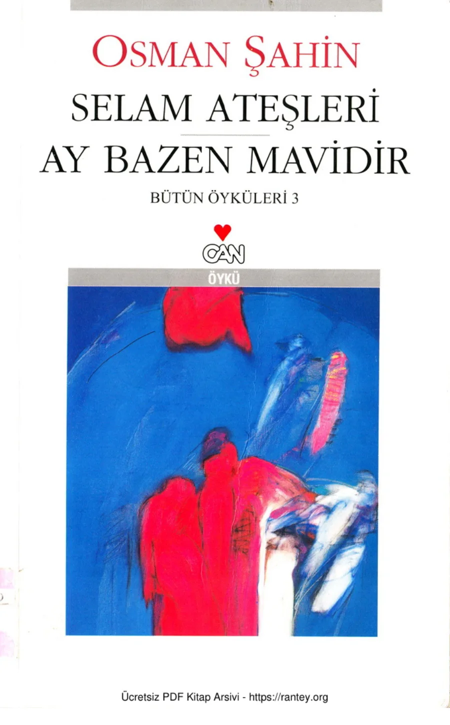 Selam Ateşleri Ay Bazen Mavidir kapak görseli