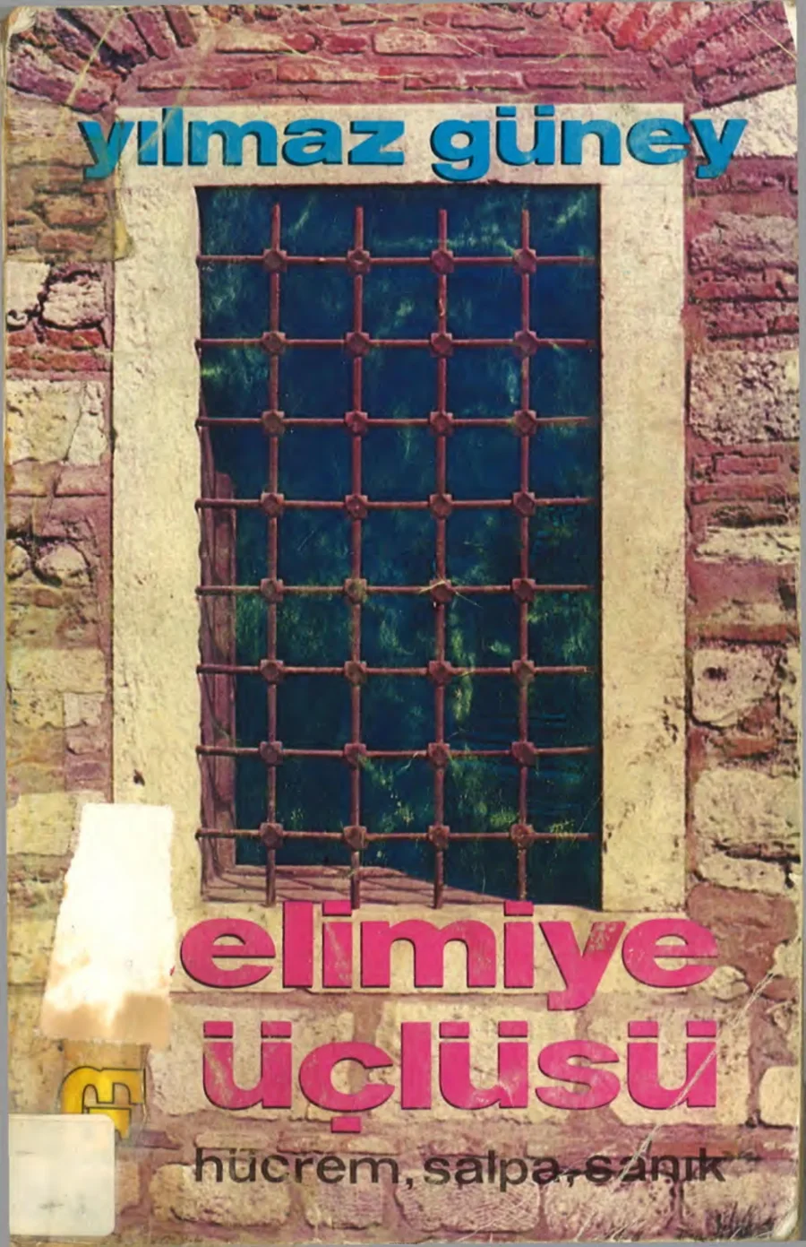 Selimiye Üçlüsü Güney Yayınları kapak görseli