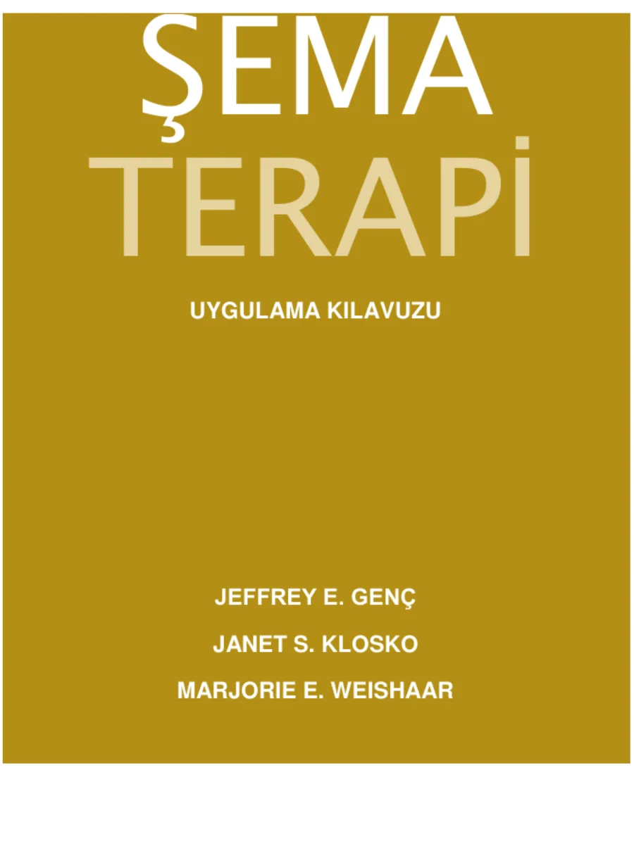 Şema Terapi: Terapistin Rehberi kapak görseli