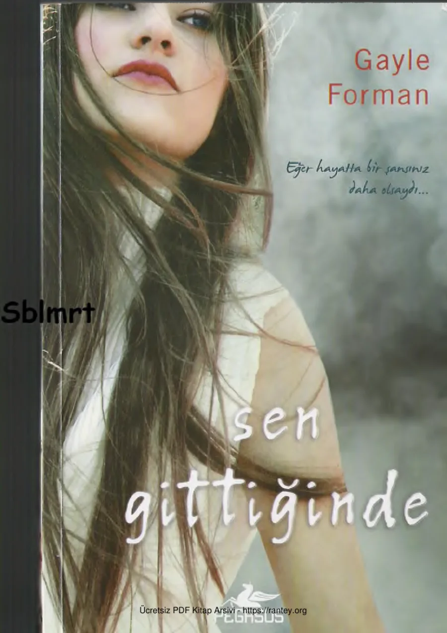 Sen Gittiğinde 2kitap kapak görseli
