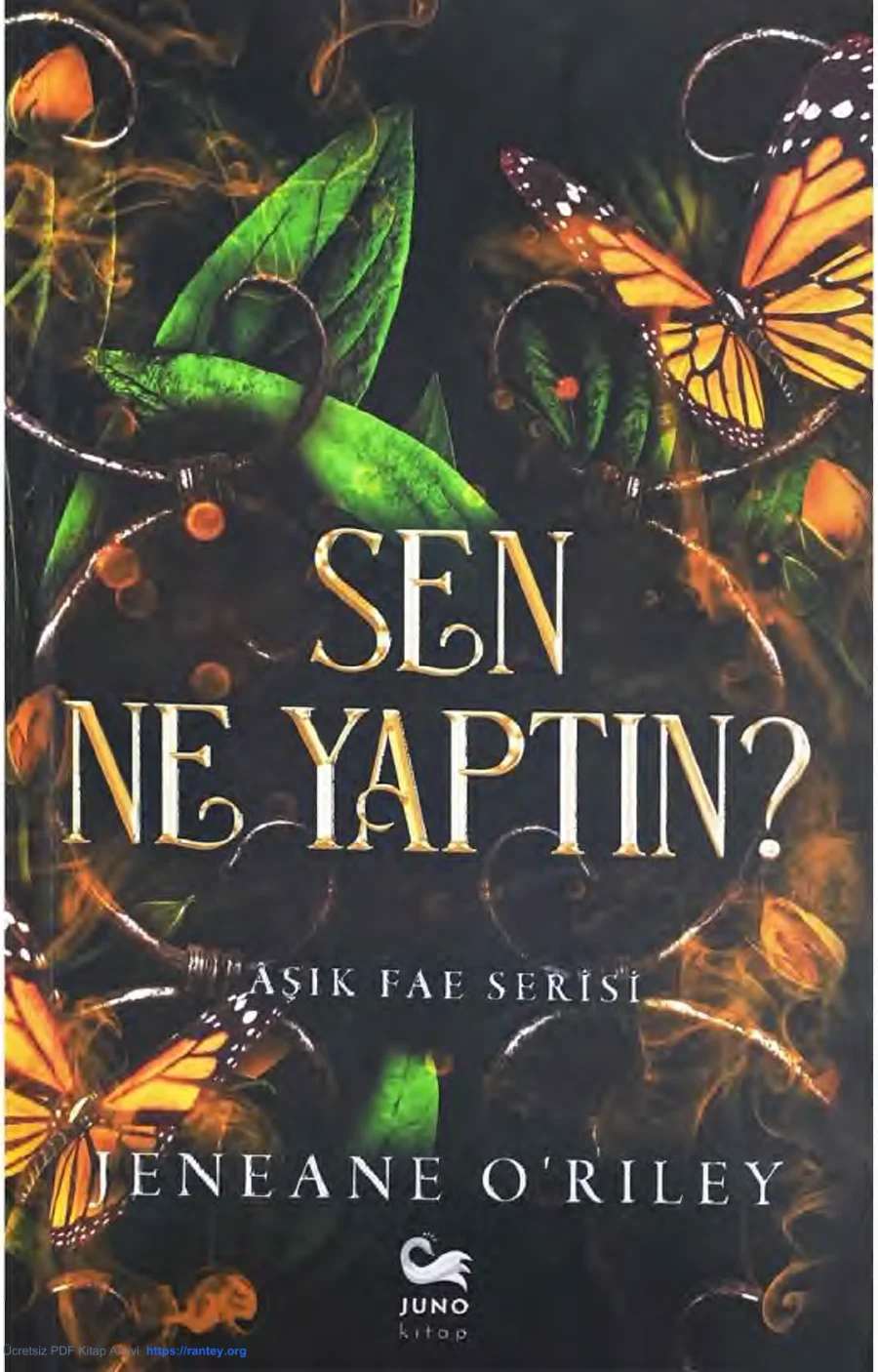 Sen Ne Yaptın? kapak görseli