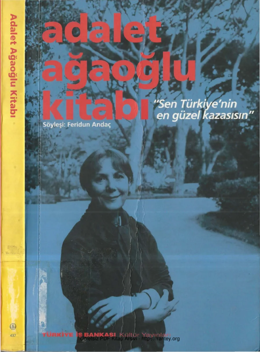 Sen Türkiyenin En Güzel Kazasısın Adalet Ağaoğlu kapak görseli
