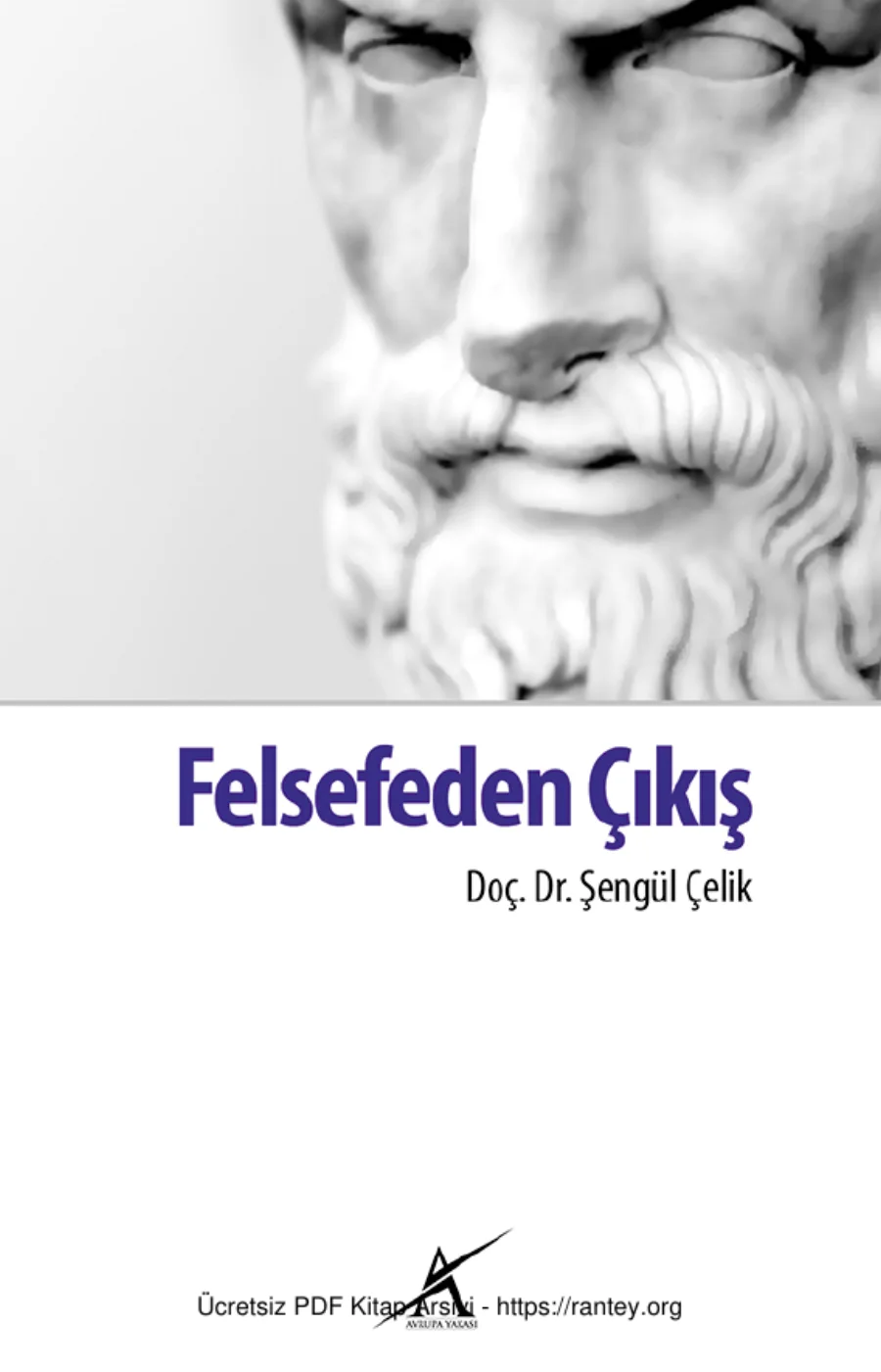 Şengül Çelik kapak görseli