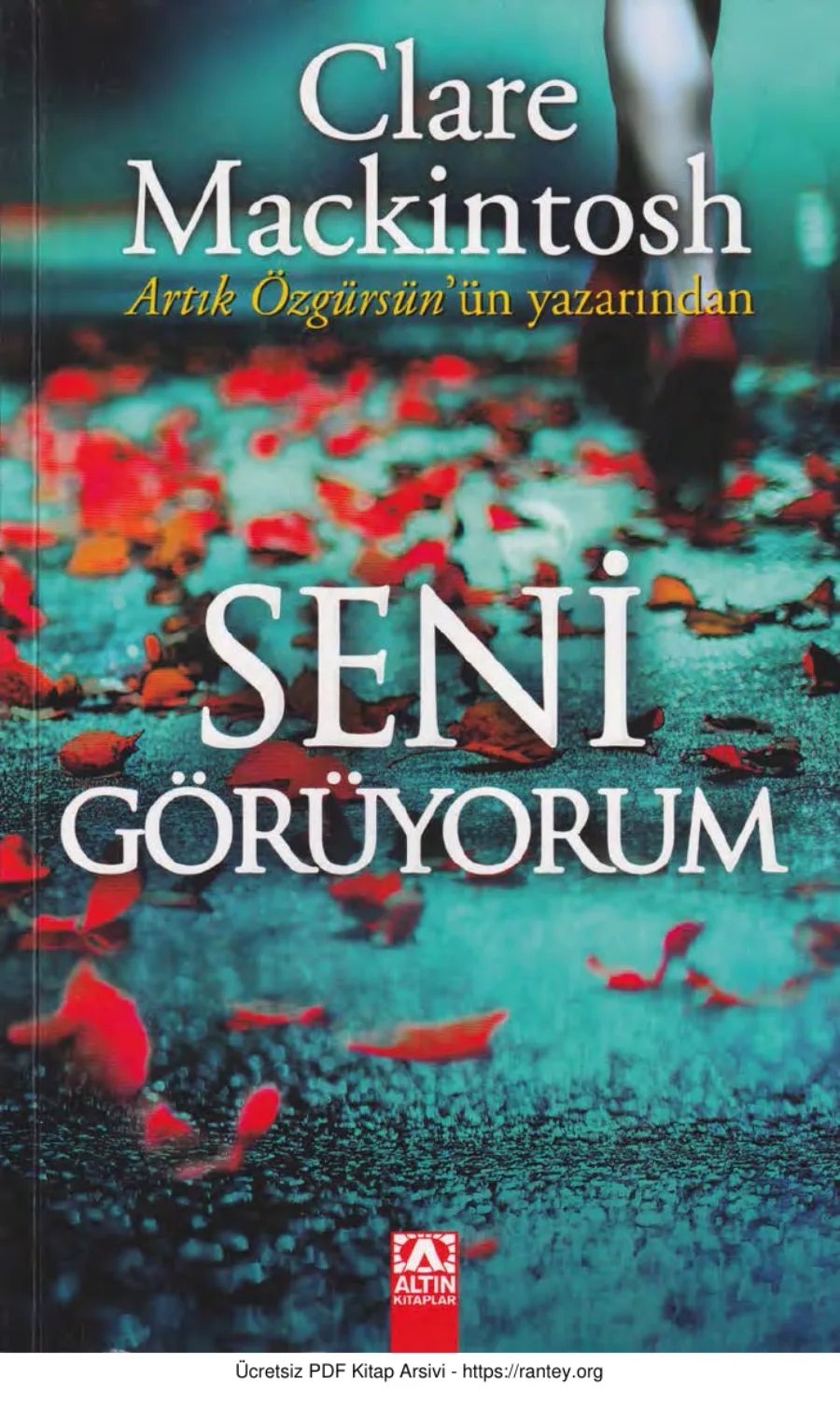 Seni Görüyorum kapak görseli