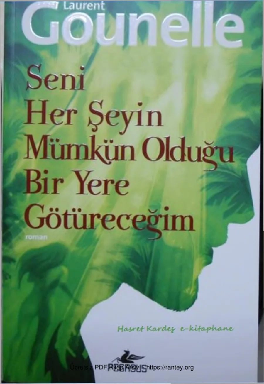Seni Her Şeyin Mümkün Olduğu Bir Yere Götüreceğim kapak görseli