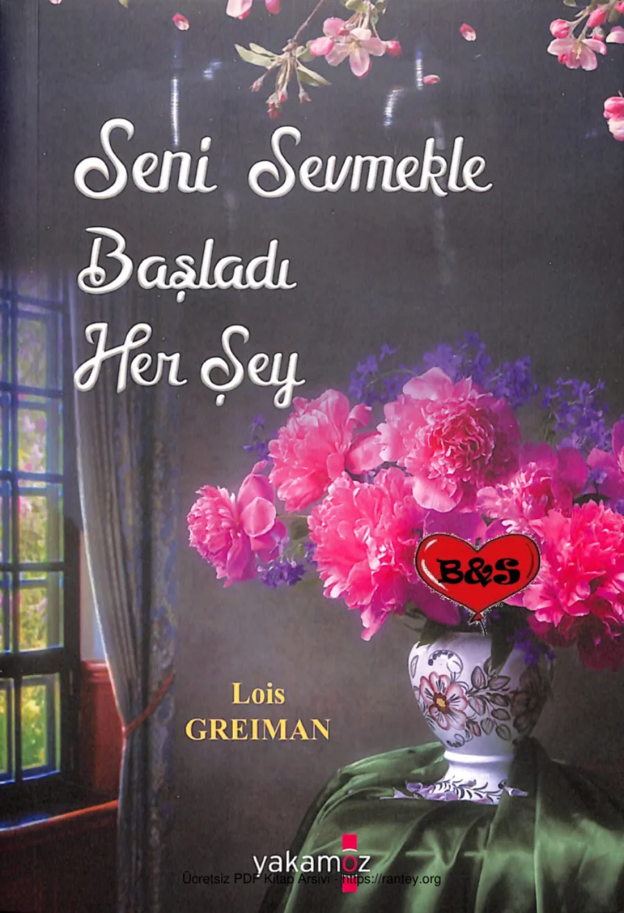 Seni Sevmekle Başladı Her Şey Hope Springs 3 kapak görseli