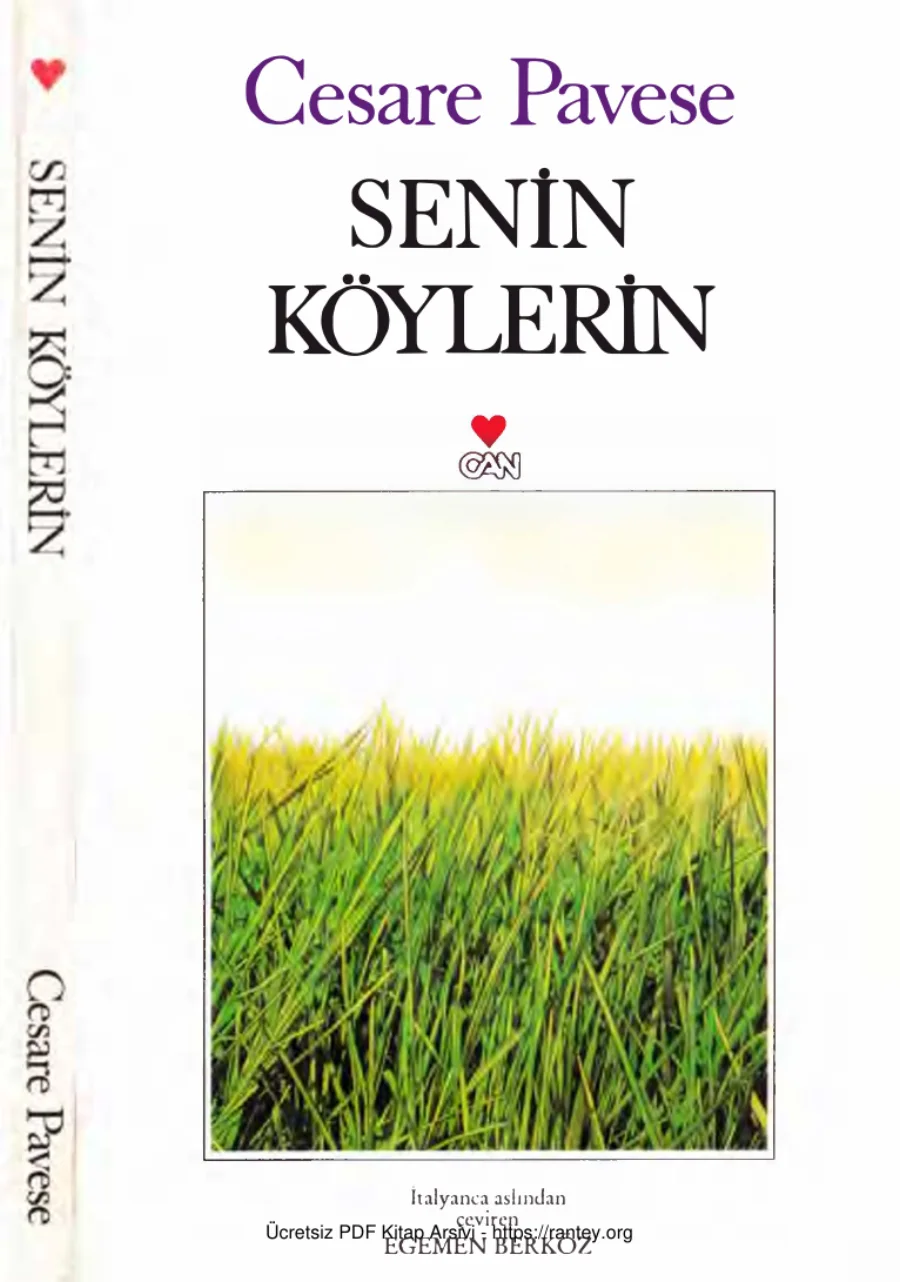 Senin Köylerin kapak görseli