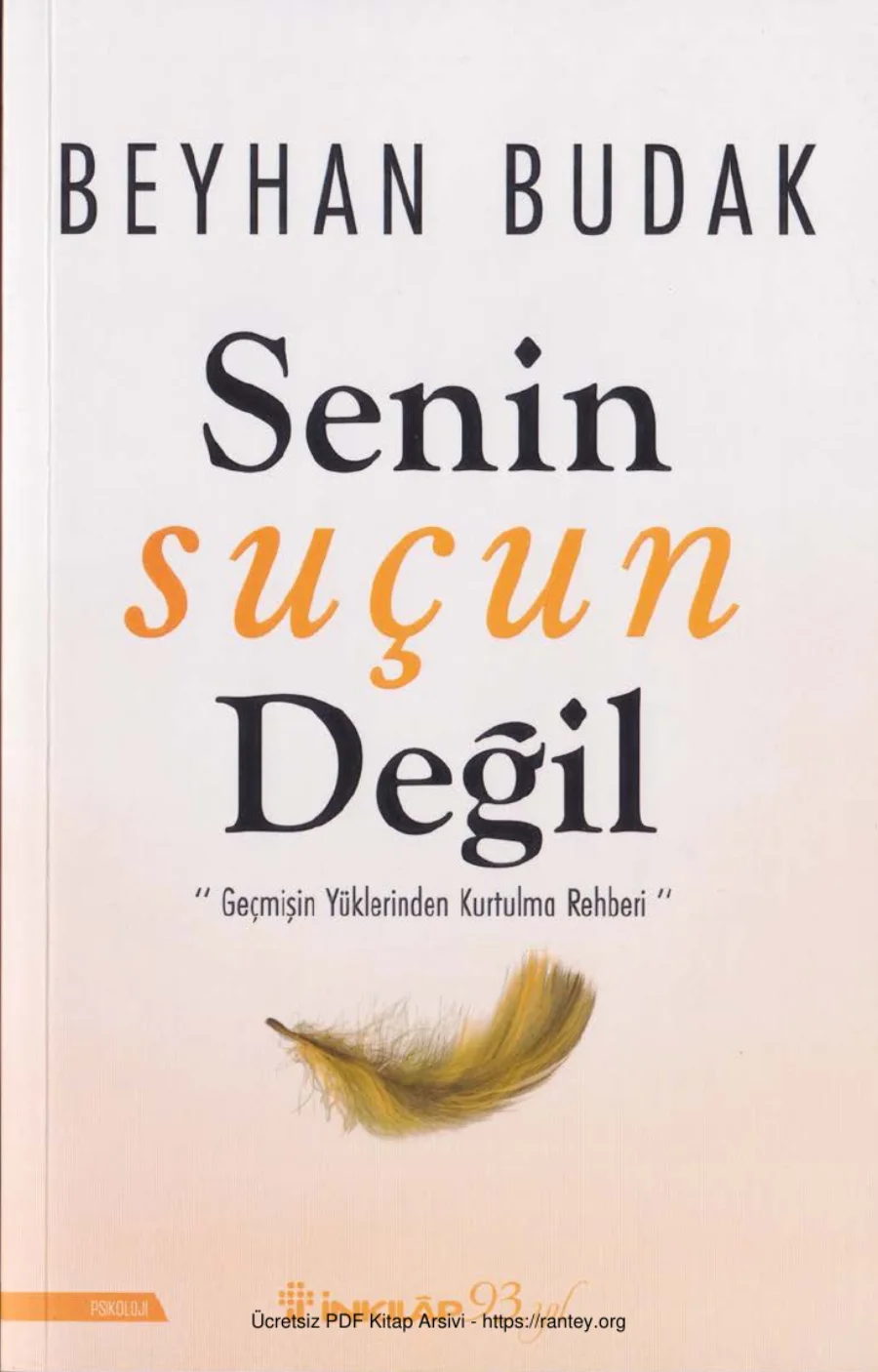 Senin Suçun Değil kapak görseli