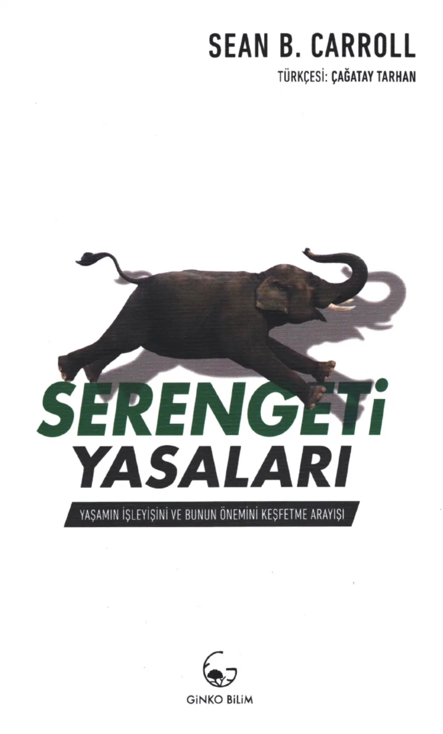 Serengeti Yasaları kapak görseli