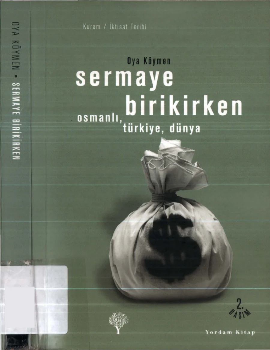 Sermaye Birikirken kapak görseli