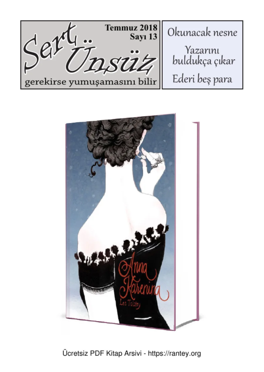 Sert Ünsüz 13 kitap kapak görseli