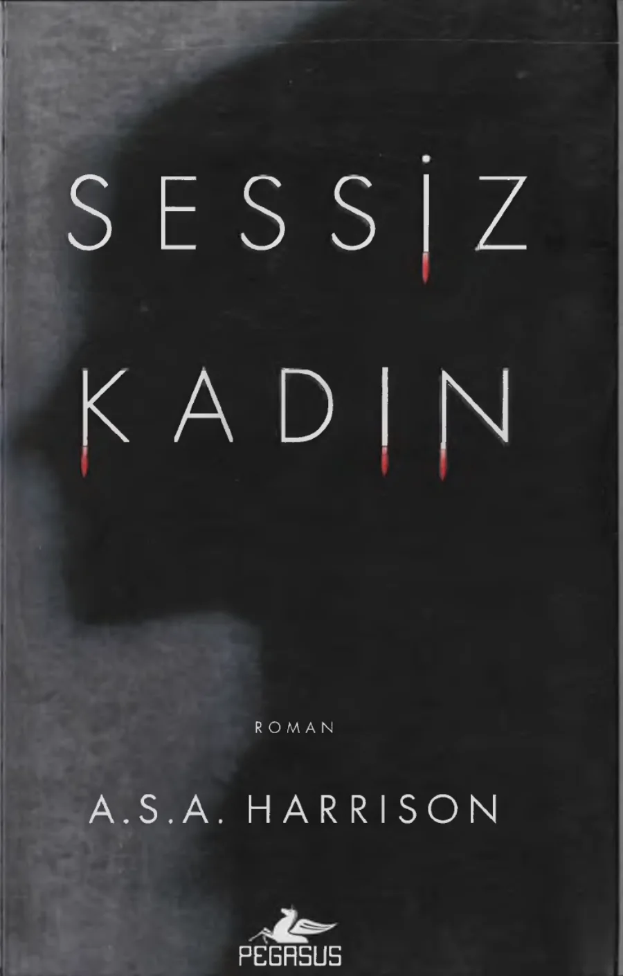 Sessiz Kadın kapak görseli