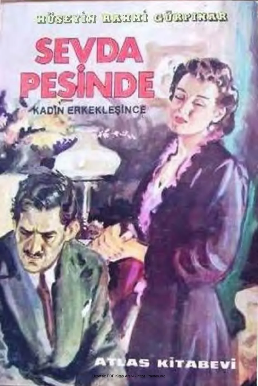 Sevda Peşinde kapak görseli