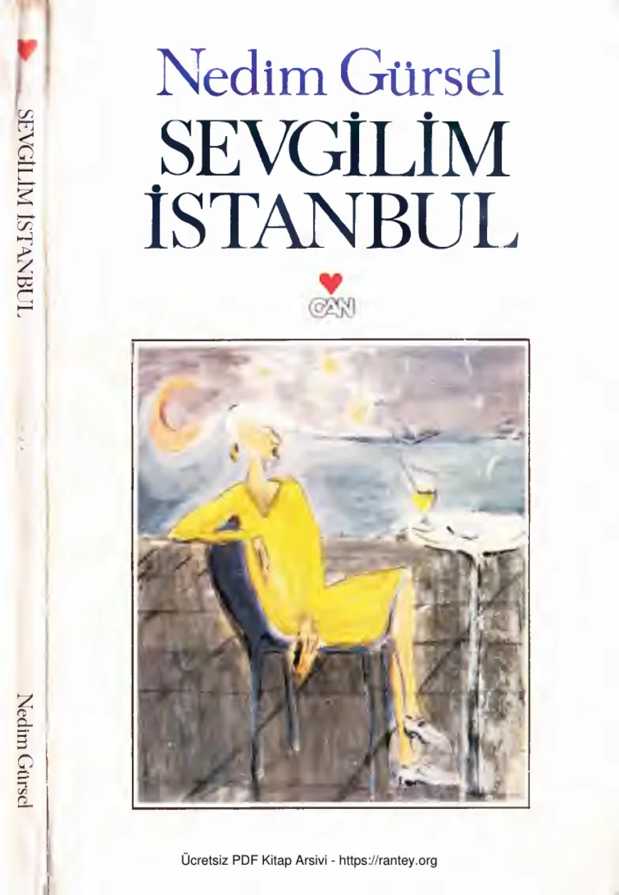 Sevgilim İstanbul kapak görseli