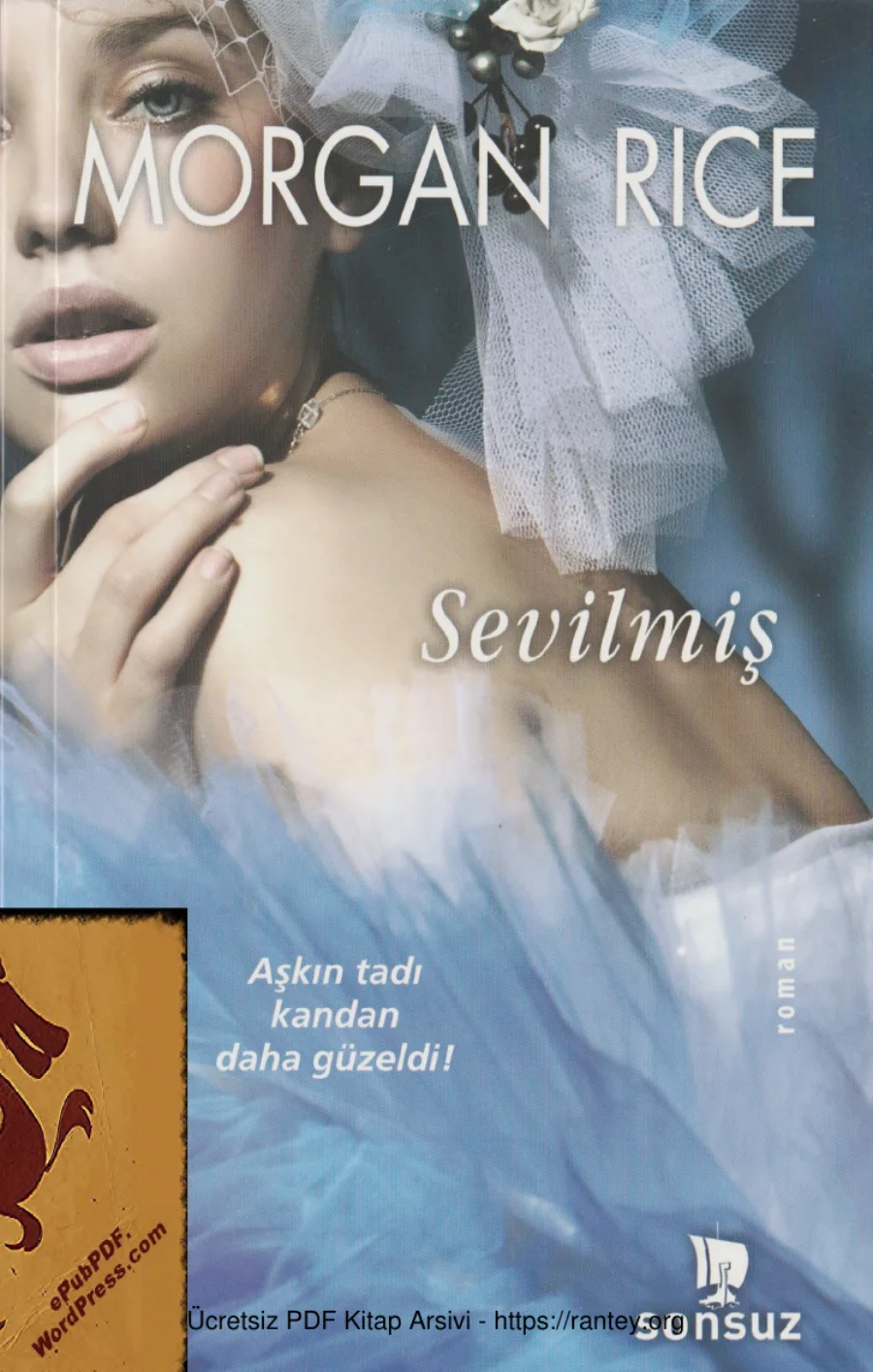 Sevilmiş The Vampire Journals 2 kapak görseli