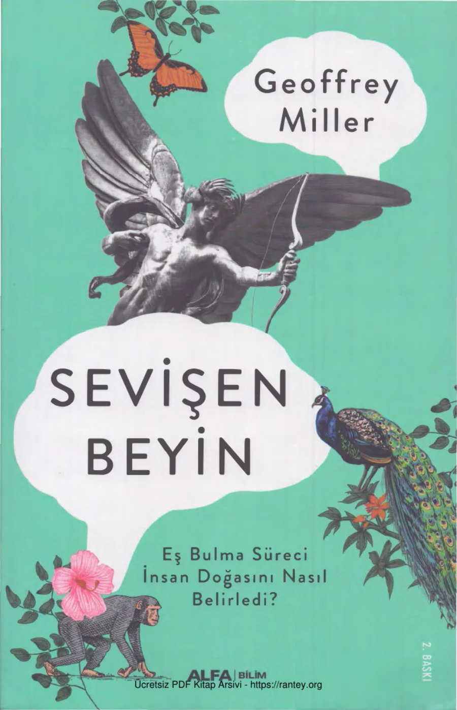 Sevişen Beyin kapak görseli